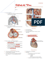 Unidade 2 - Artérias Do Tórax