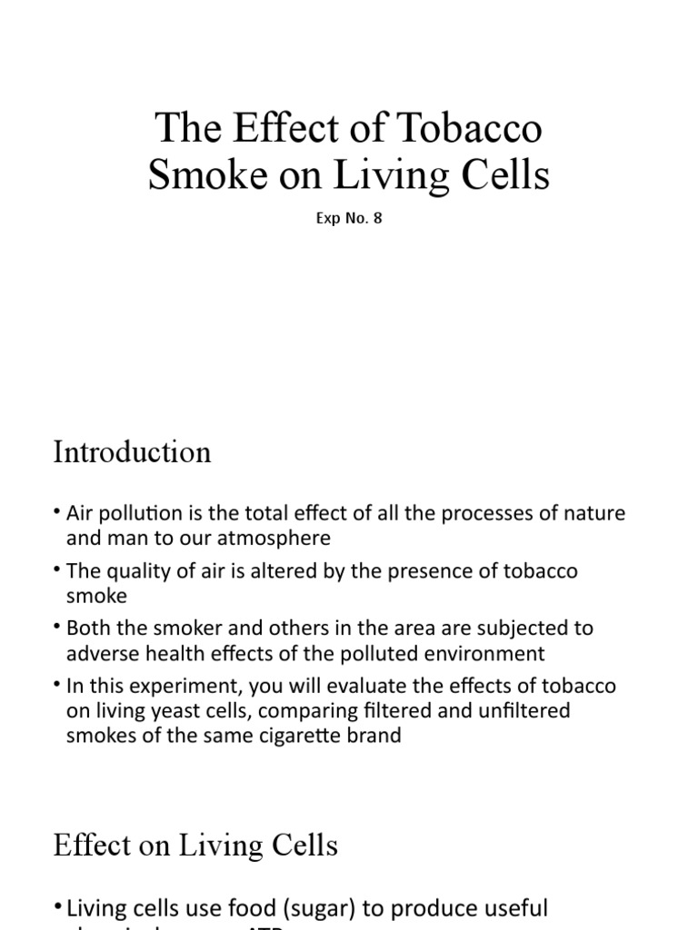 cigarette smoking and air pollution experiment Lung Science Tobacco Prevention Resources Tobacco and the environment