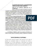 Artículos de La Constitución Política Que Promueven La Conservación Dek Nedui Ambiente