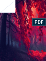 42-424597_floresta-escura-hd-wallpaper-vermelho-rea-de-trabalho