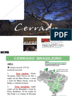 Biomas Brasileiros - Cerrado