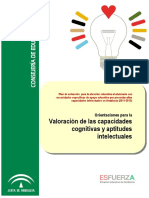 Dossier Valoracion Documento+Definitivo-1