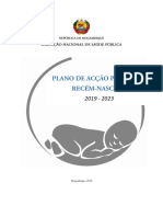 Plano Acção Recem-Nascido (Mozambique)