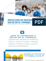 Induccion en Seguridad y Salud en El Trabajo (2) - 9