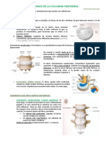 ANATOMÍA Tema 5