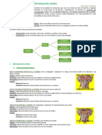 ANATOMÍA Tema 7