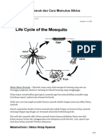 Siklus Hidup Nyamuk Dan Cara Memutus Siklus Hidupnya