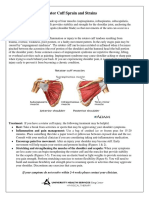 Rotator Cuff