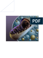 Guía de Estudio Biología I Preparatoria