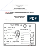 Actividad Socioemocional