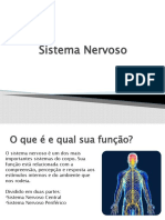 Sistema nervoso.docx