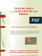 Ciclo de Vida y Localización de Las Firmas