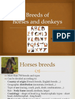 7. Horses and donkeys breeds and colours 2020 reduced