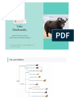 10. Yak Husbandry