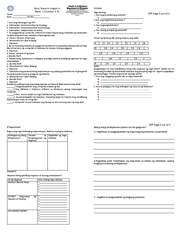 EPP Week 1 Entrepreneur | PDF