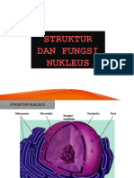 Fungsi Dan Struktur Nukleus