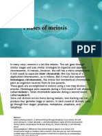 Phases of Meiosis