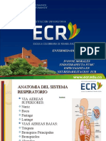 Presentación Patologias Respiratorias Clase 16 Zulange (2) (1)