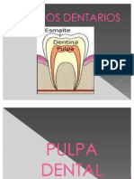 PULPA_DENTAL