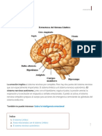 El Sistema Nervioso 'Emocional'