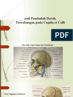 Pembuluh Darah Percabangan Pada Capitis Colli