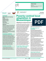 Poverty-Centred Local Adaptation in Mozambique: Aligning Social Protection and Climate Adaptation