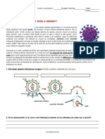 Cum Se Realizeaza Infectia Virala A Celulelor