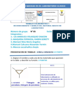 Grupo 5 - T.C.1 - Reconocimiento de Material de Laboratorio