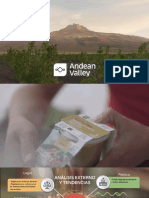 Andean Valley Presentación Ejemplo-1