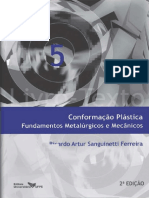 Conformacao Plastica - Ricardo Artur Sanguinetti