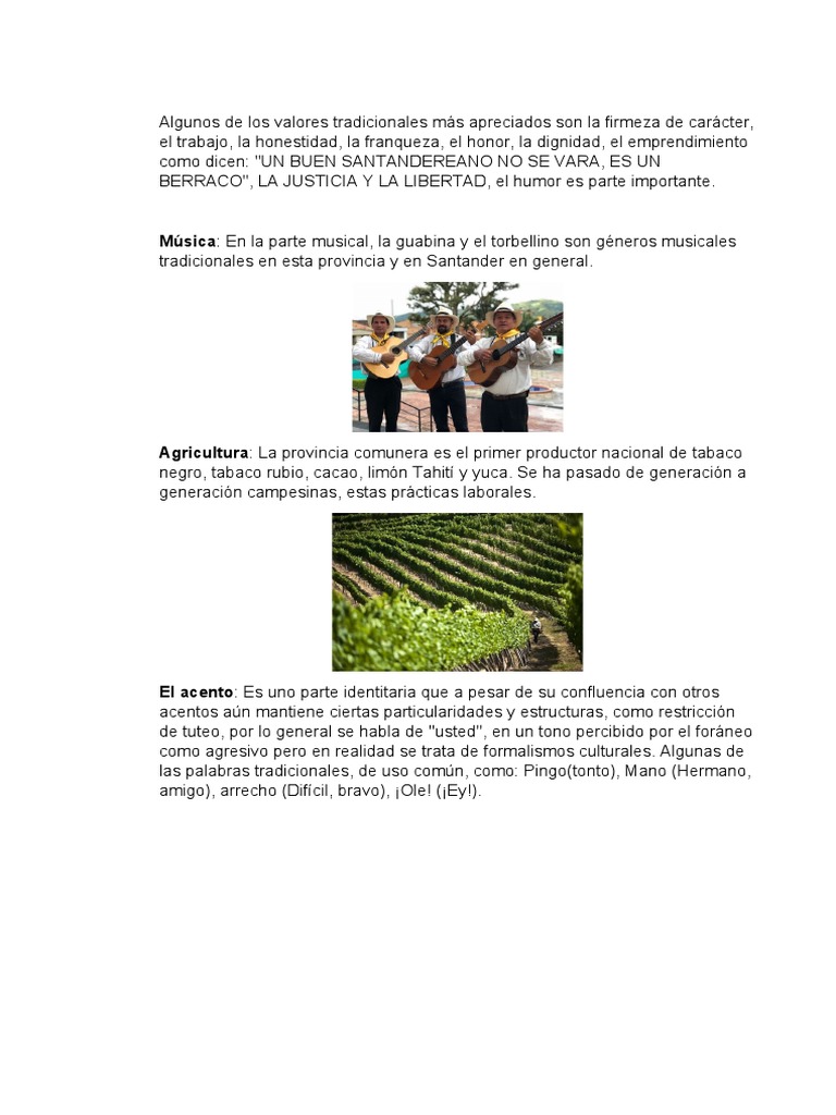 Tradiciones, Provincia Comunera PDF