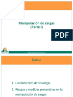 Manipulación de Cargas I