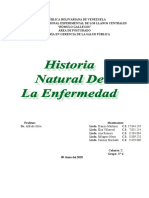 Grupo 4 Historia Natural de La Enfermedad C