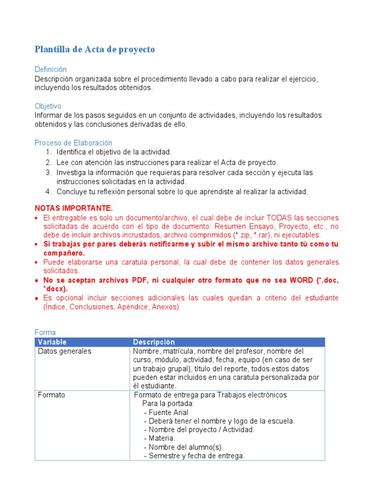 Plantilla Acta de Proyecto Detallada | PDF | Business