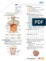 Sistem Pencernaan PDF