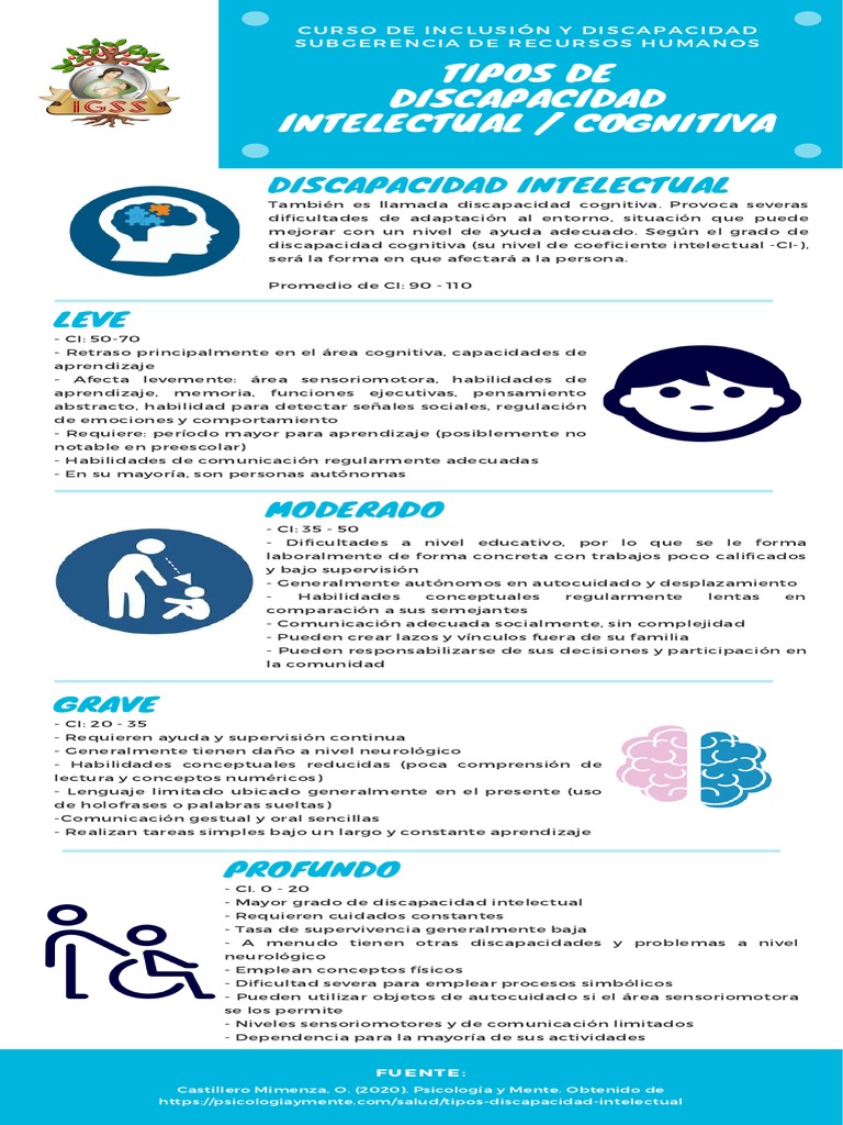 Tipos de Discapacidad Intelectual y Cognitiva | PDF | Discapacidad ...