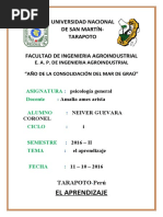 UNIVERSIDAD NACIONAL DE SAN MARTÍN-psicologia