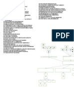 Mapa Individual