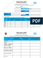 ANEXOS de Directiva Fin de año 2020 (1)