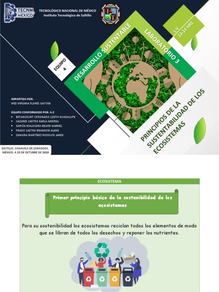Principios de La Sustentabilidad de Los Ecosistemas | PDF | Energía ...