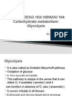 NS101/BIOENG 103/ HBMANI 104 Carbohydrate Metabolism: Glycolysis