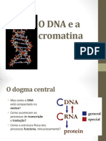 Aula1_EmpacotamentoDoDNA