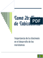 Tema 2b Tabicaciones