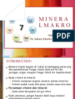 MAKROMINERAL