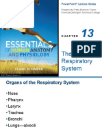 The Respiratory System: Powerpoint Lecture Slides