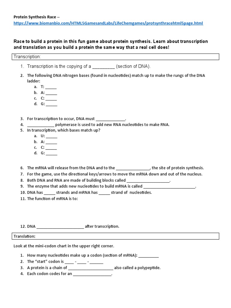 protein-synthesis-race-worksheet-pdf