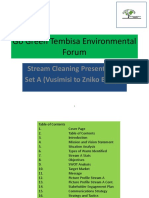 Go Green Tembisa Environmental Forum Stream Presentation