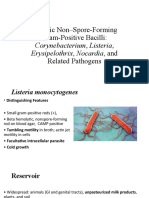 Aerobic Gram-Positive Bacilli Pathogens: Listeria, Corynebacterium, Actinomyces, and Nocardia