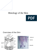 Histology of The Skin