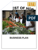 HoH FSTT Business Plan 0910